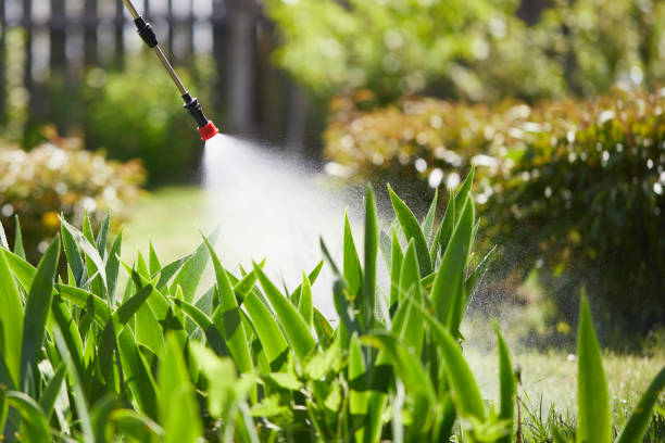 Tamper-Resistant Bait Stations for Rodents in Westport Village