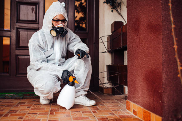 Attic and Crawl Space Rodent Treatment in Westport Village